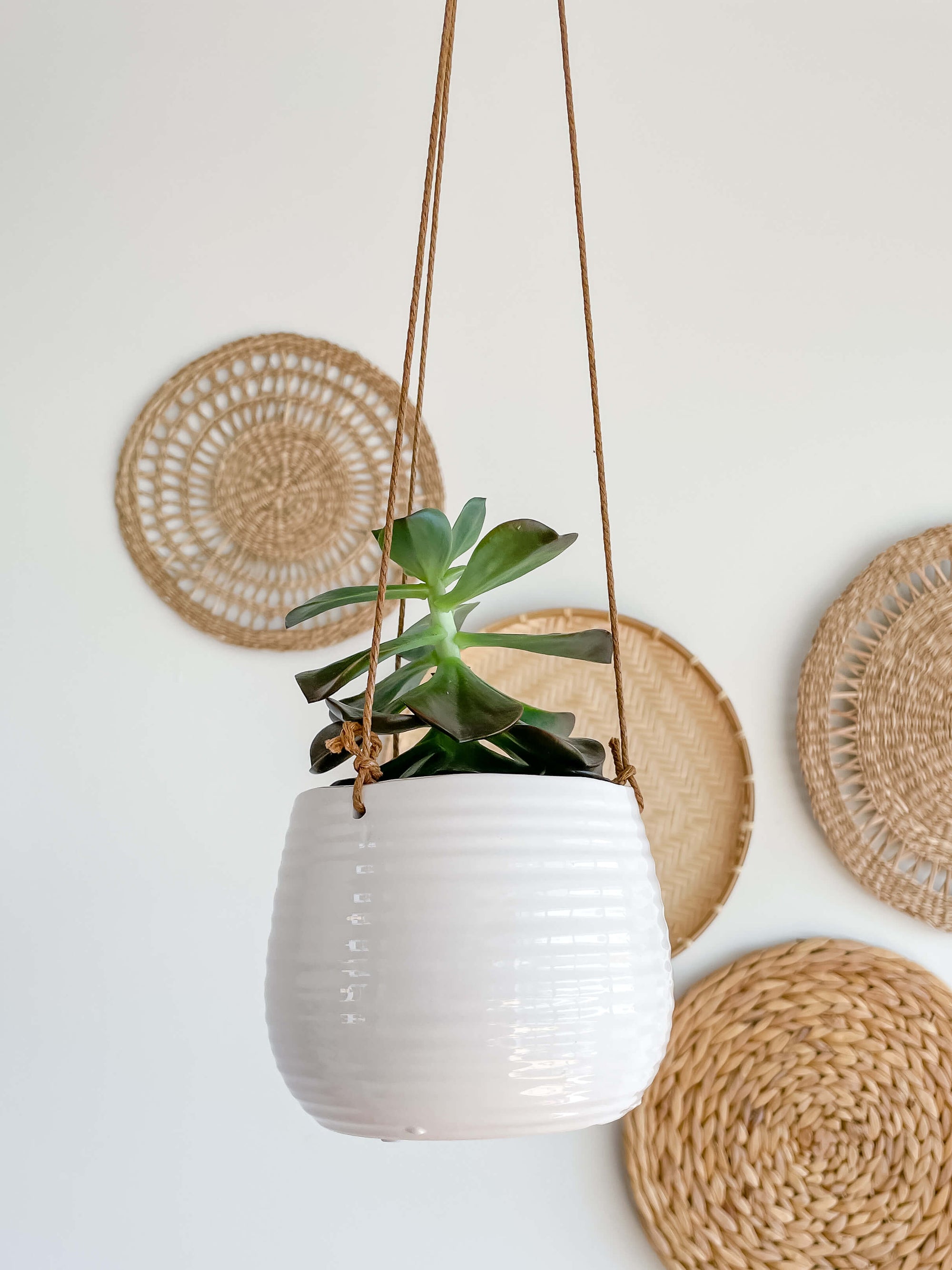 Bari Ceramic Hanging Planter Medium with Plant Hycroft Home Decor