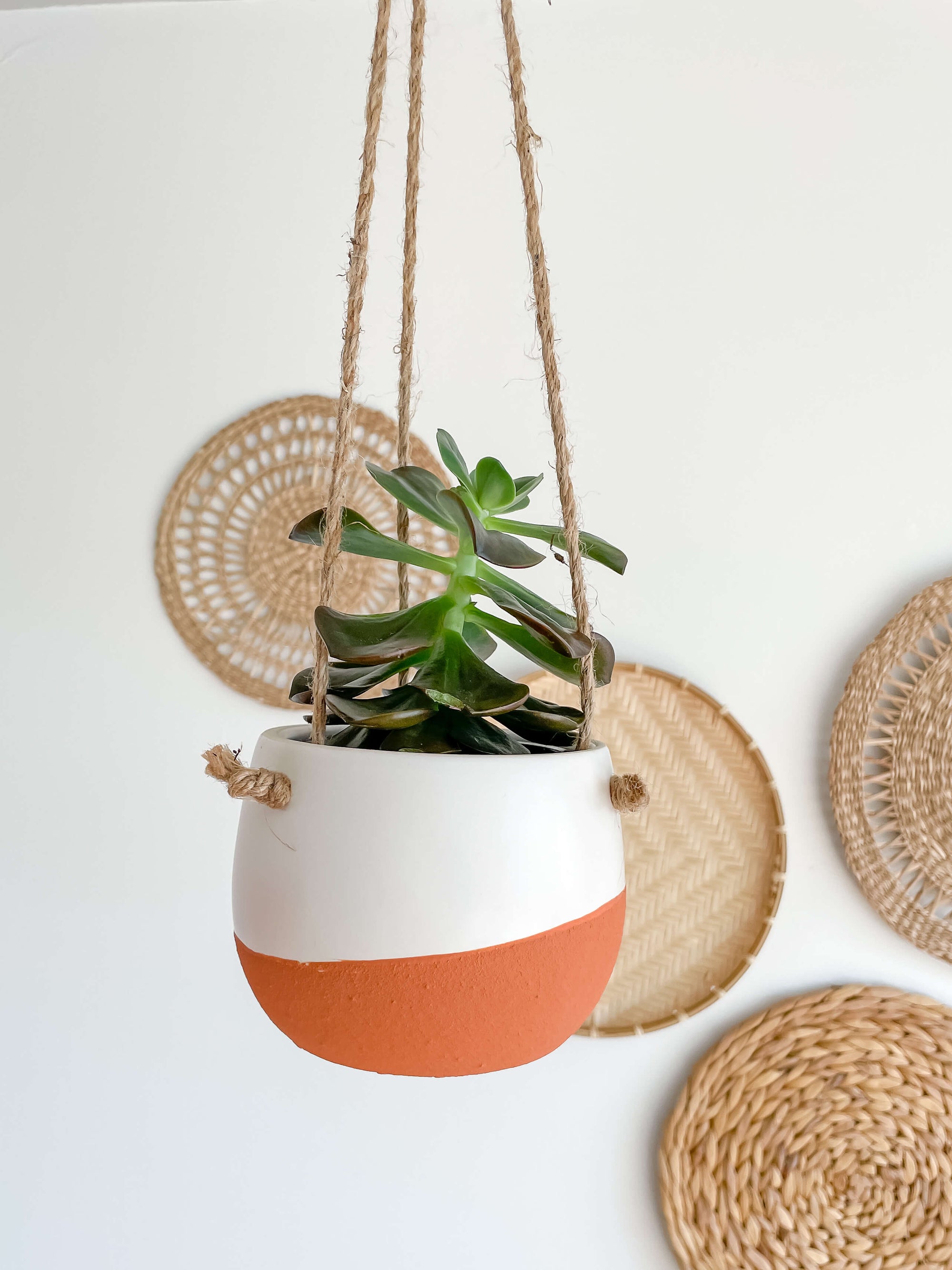 Milano Hanging Ceramic Vase Medium with Plant Hycroft Home Decor