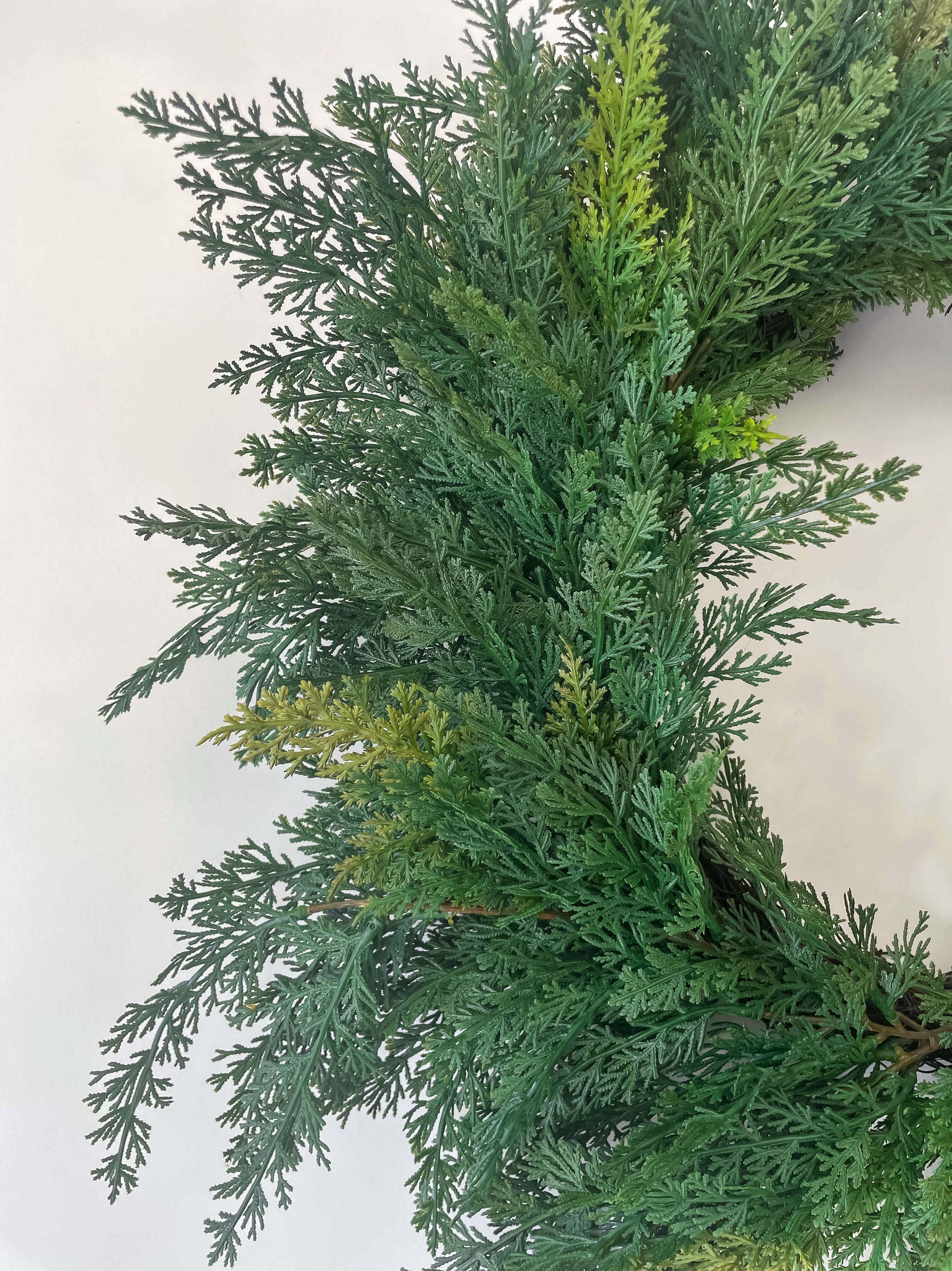 Cypress Wreath 24&quot;