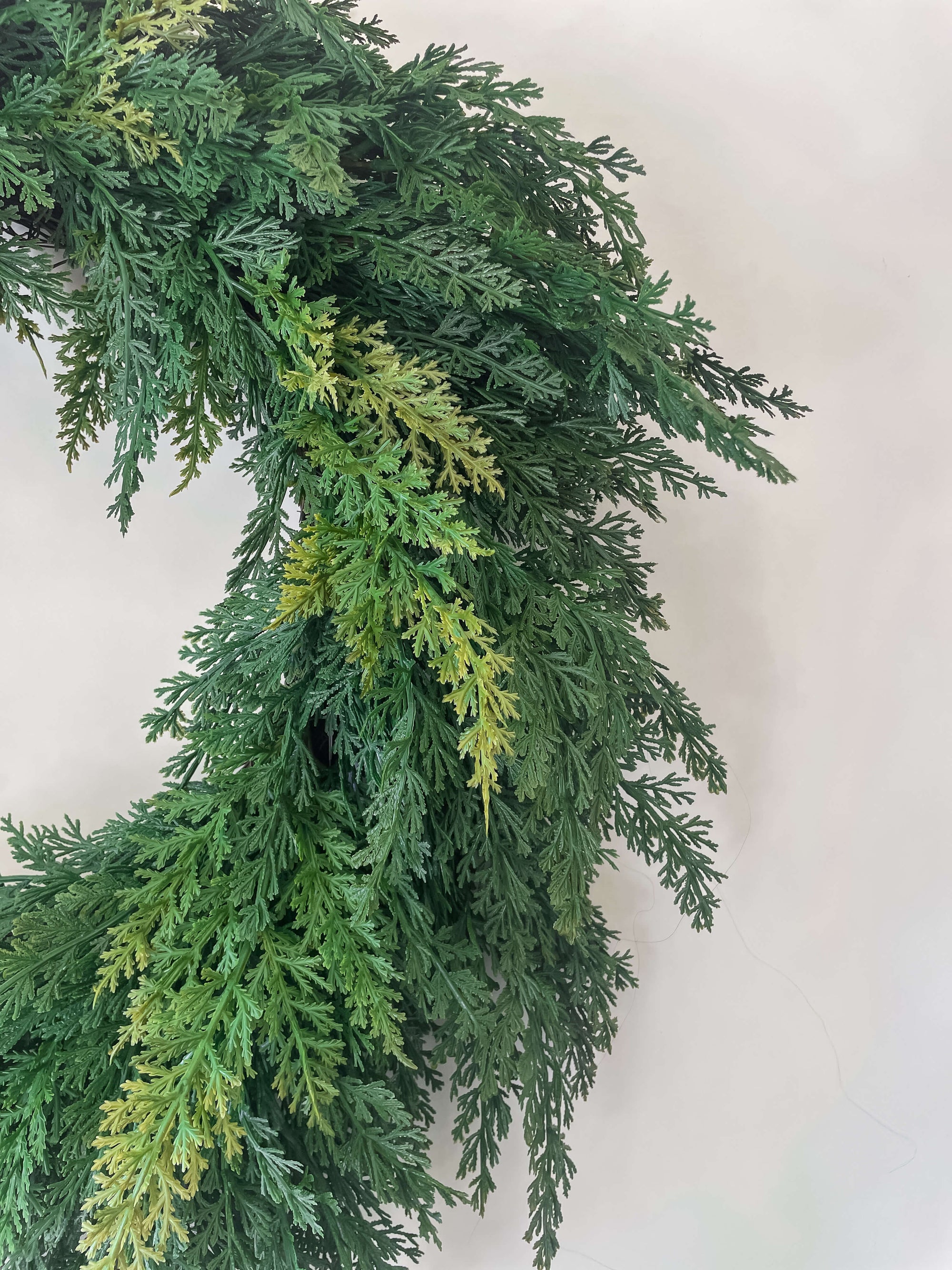 Cypress Wreath 24&quot;