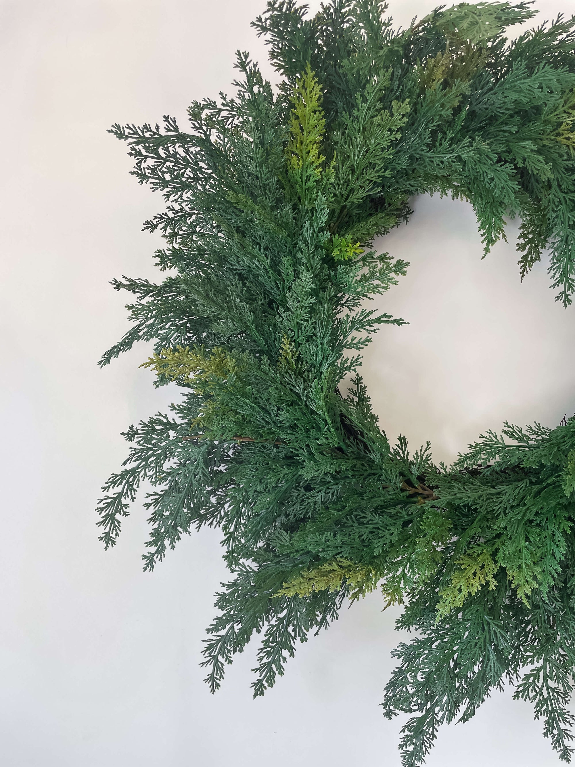 Cypress Wreath 24&quot;