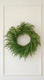 Norfolk Wreath 26"