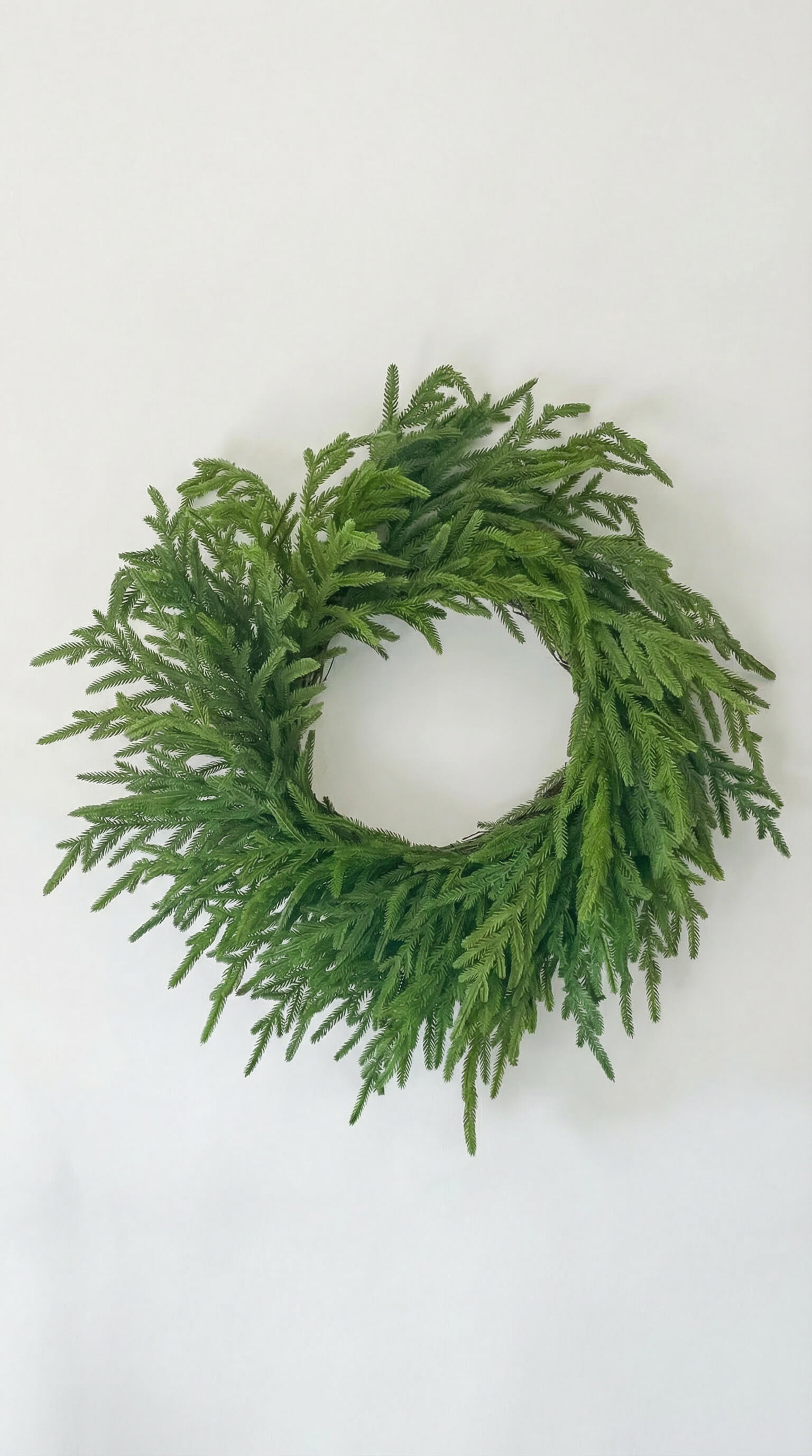 Norfolk Wreath 26"