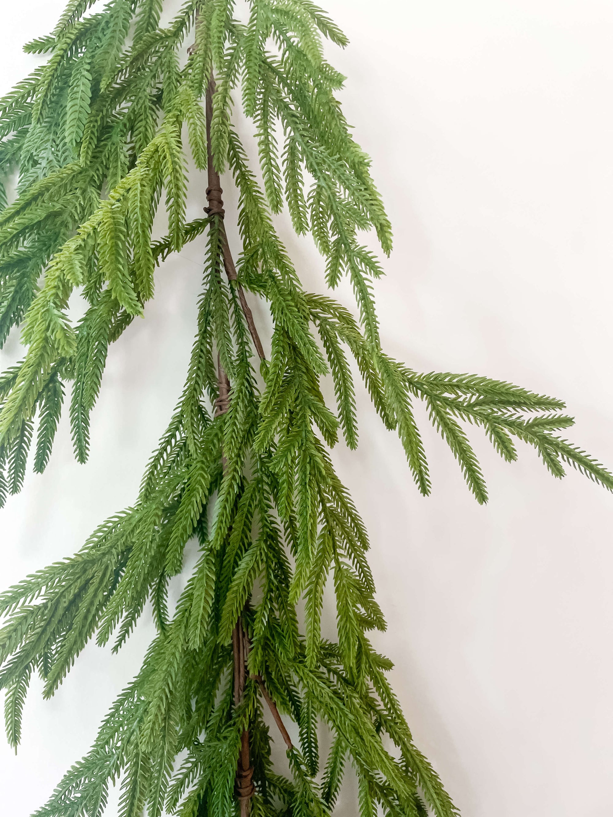 Norfolk Garland 60&quot;