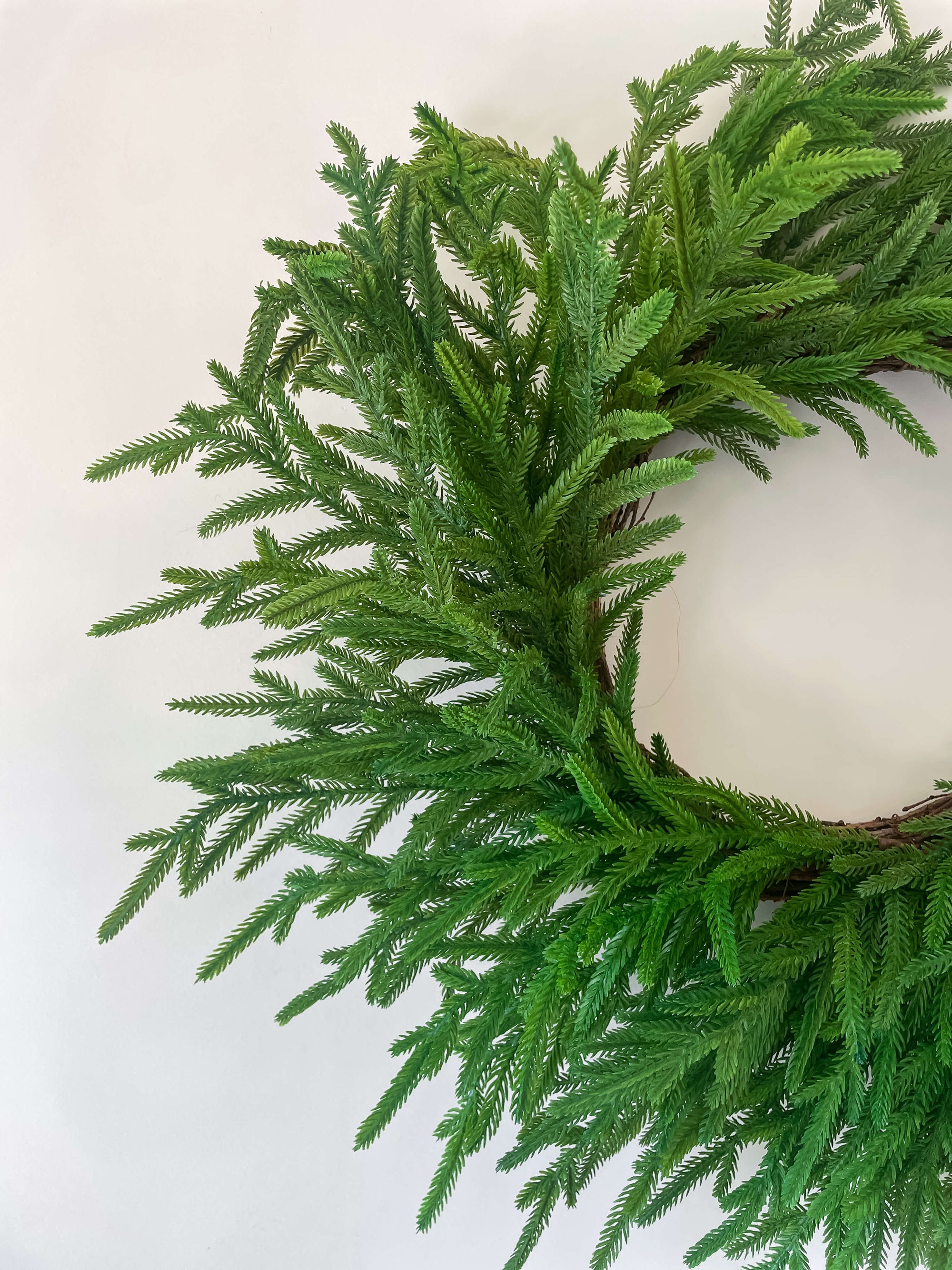 Norfolk Wreath 26&quot;