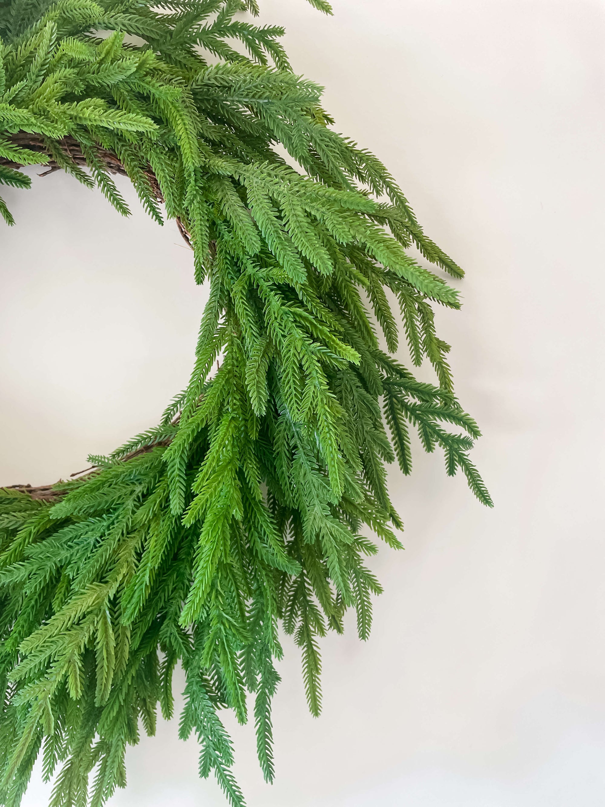 Norfolk Wreath 26&quot;