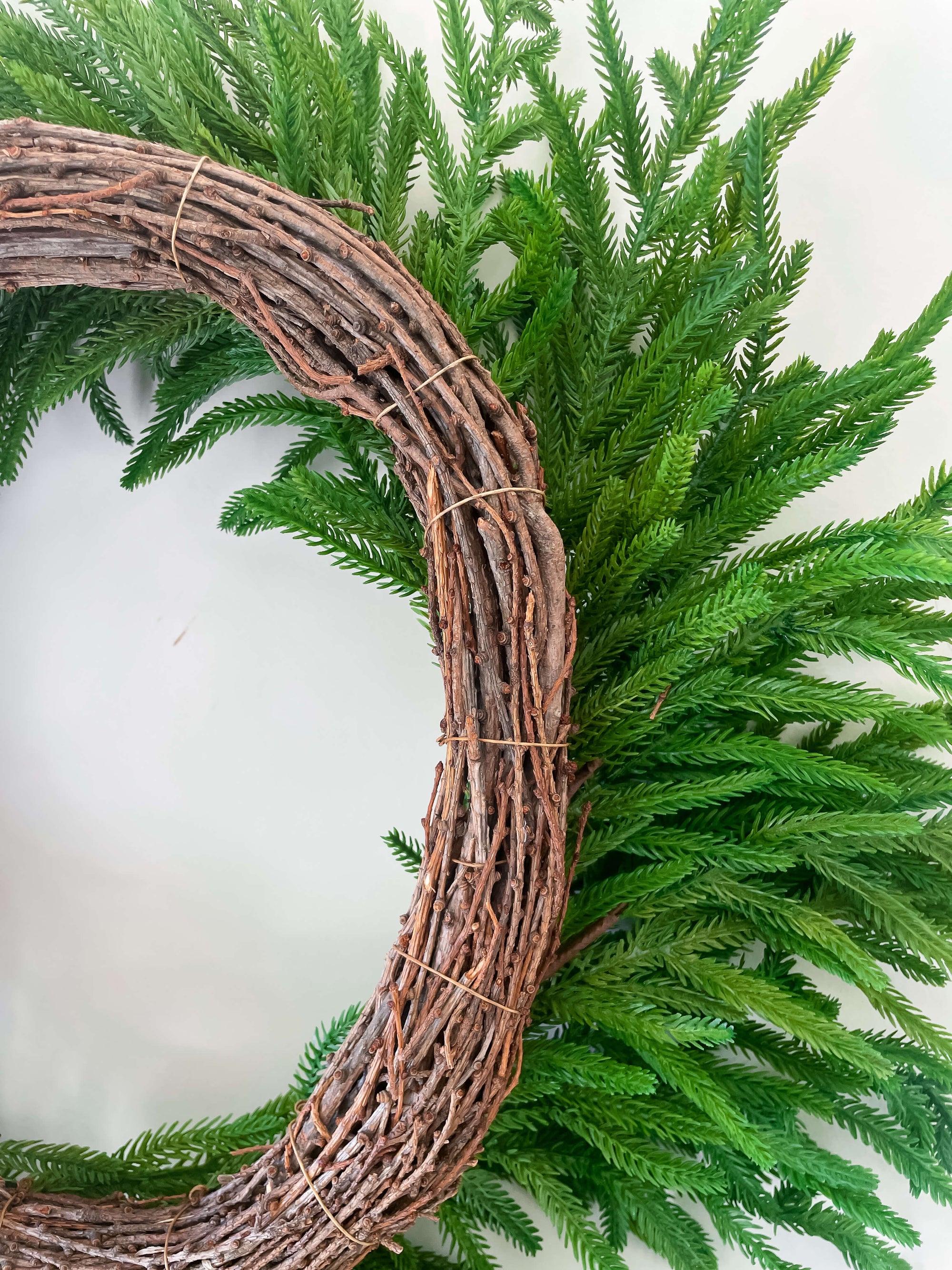 Norfolk Wreath 26&quot;
