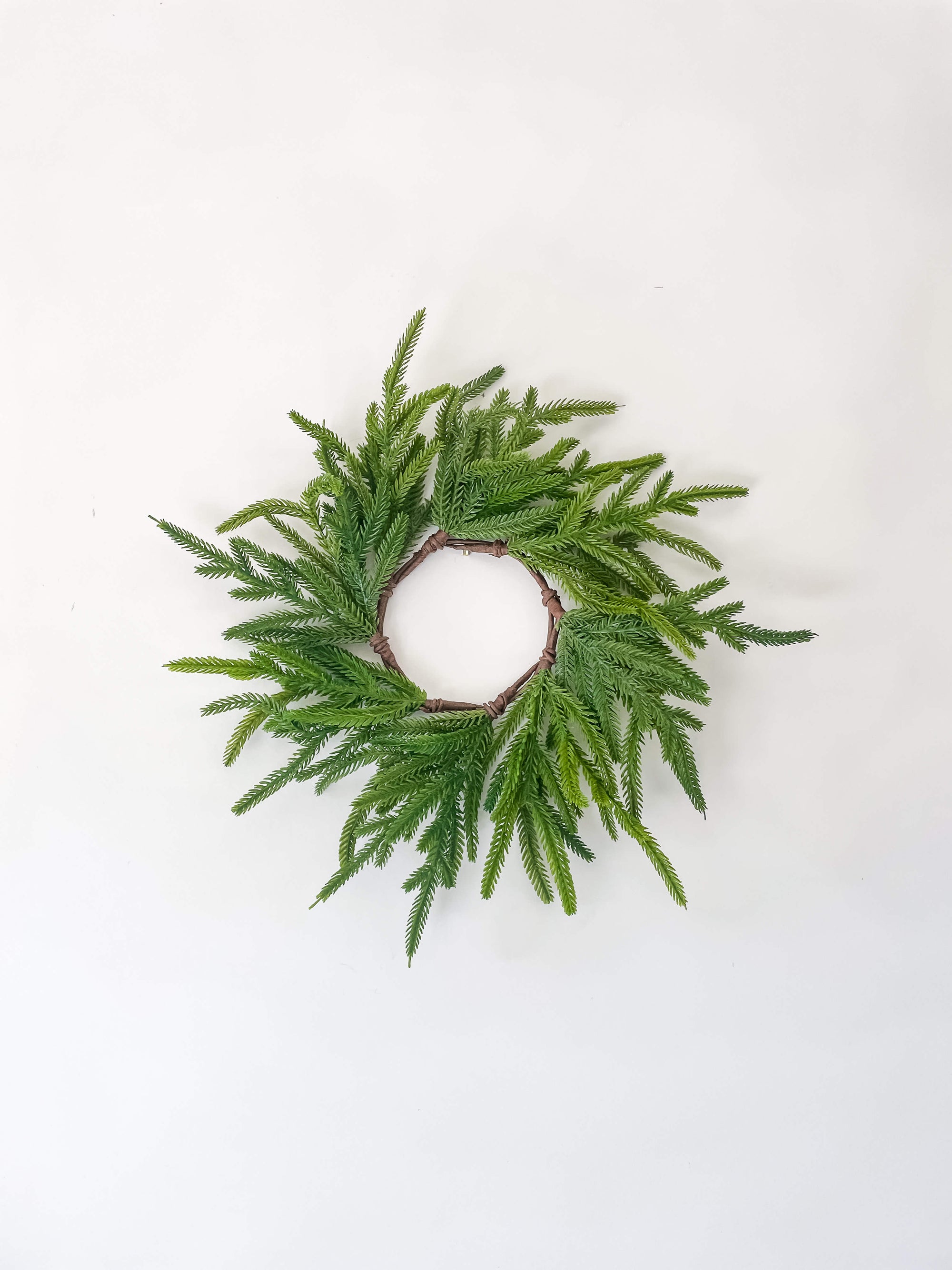 Norfolk Wreath 12&quot;