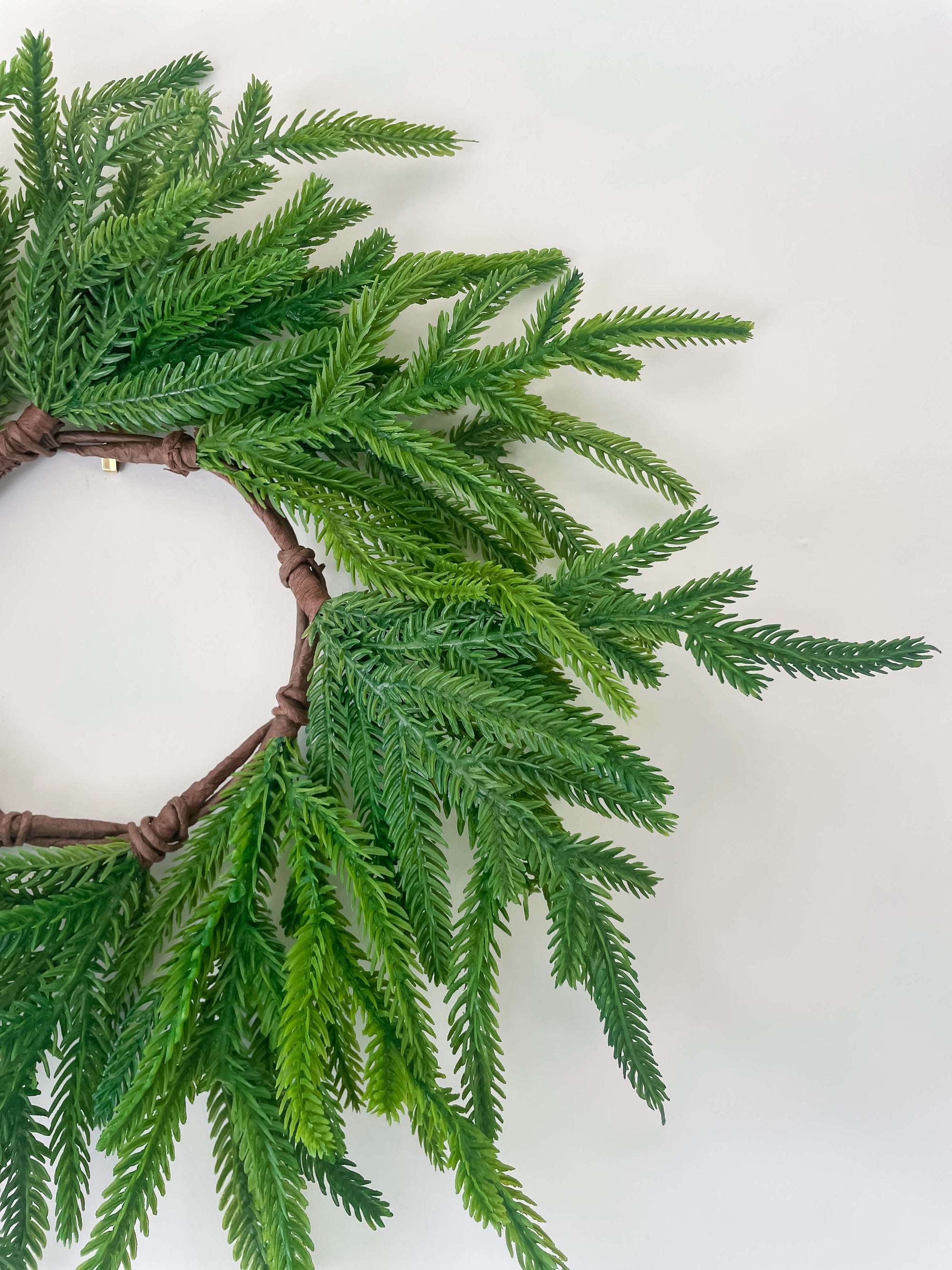 Norfolk Wreath 12&quot;