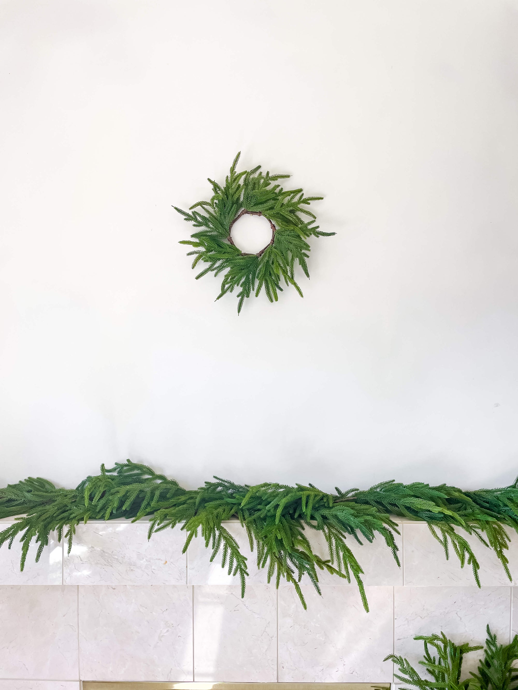 Norfolk Wreath 12&quot;