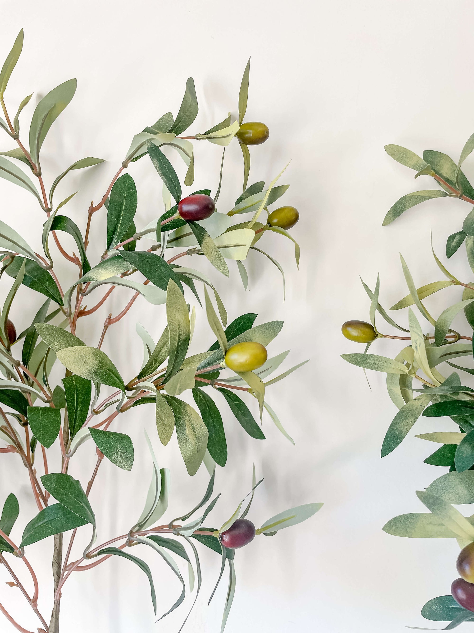Olive Branch Stem 31&quot;