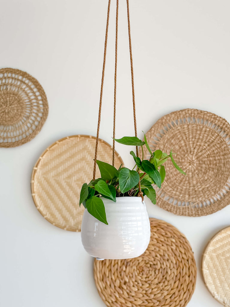 Bari Ceramic Hanging Planter Small with Plant Hycroft Home Decor