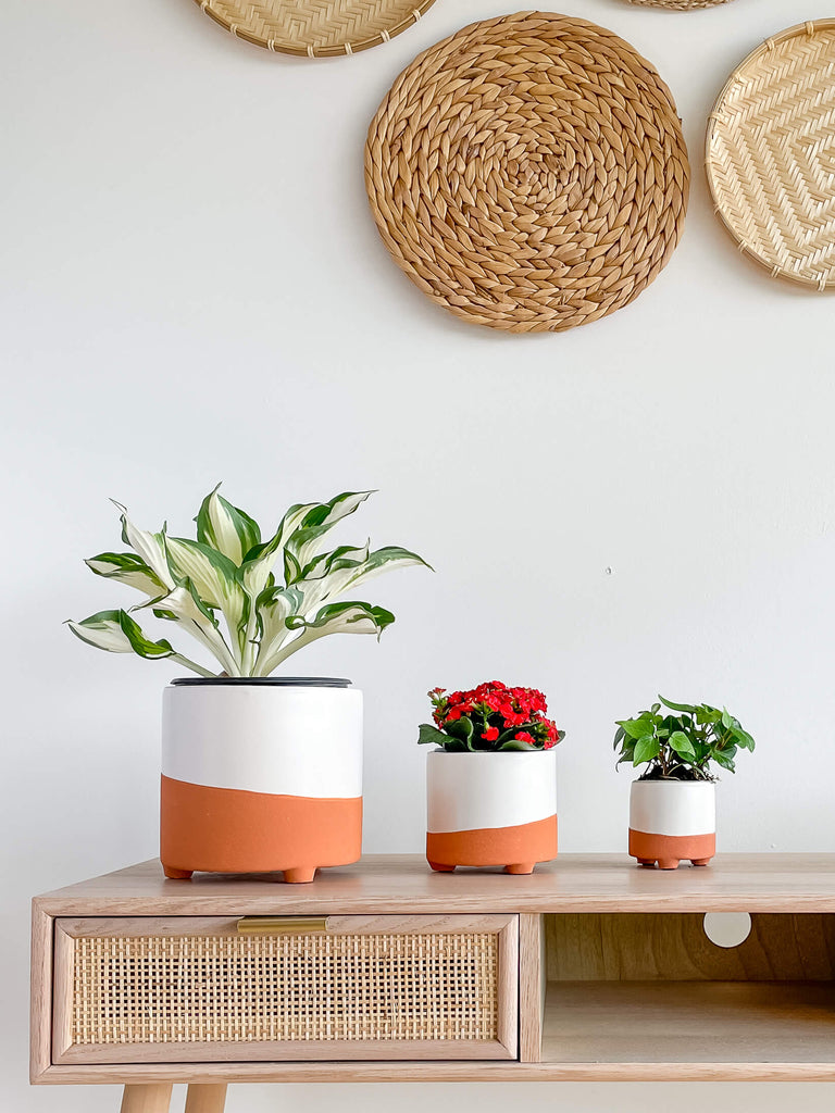 Firenze Tabletop Ceramic Planter Set of 3 Hycroft Home Decor
