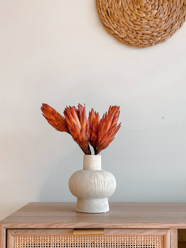 Hycroft Home Decor Protea Flowers Close up